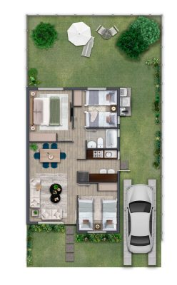 Planta Mayu 51