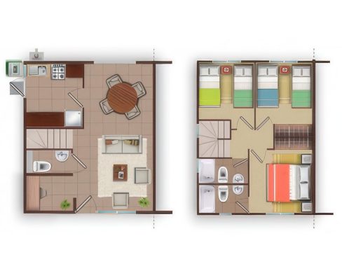 Planta Modelo Canelo